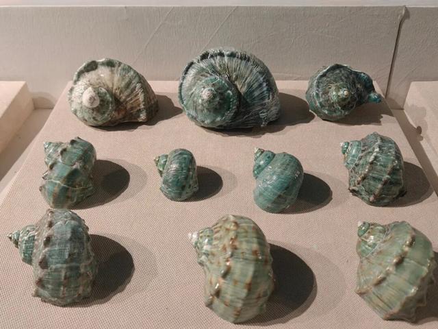防城港学生周末新去向！这四大场馆成“充电”热门地
