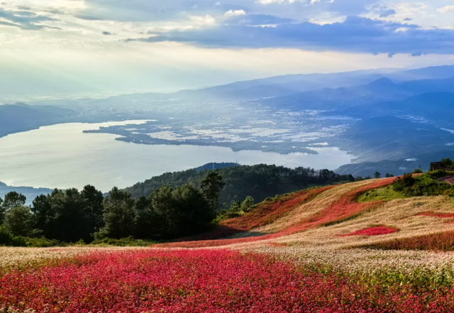 【跟着烧烤季游凉山】来凉山“躺营”，把烦恼丢进山谷的风里