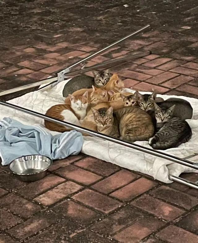 “论中国小孩对晒被子的执念”