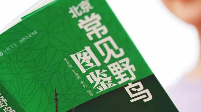 万鸟齐舞！北京这里成“候鸟天堂”，还有专属礼遇——