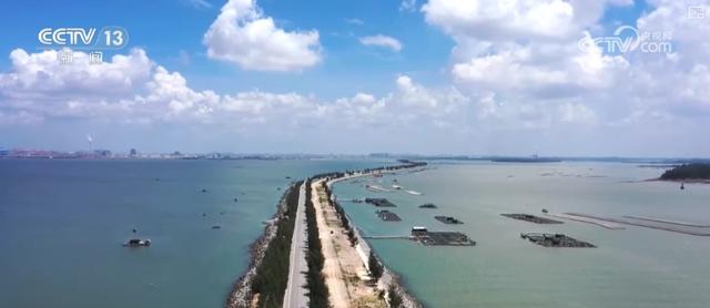 乘船追豚、红树林探秘、听潮观星……自然馈赠的惊喜燃动滨海旅游消费热力