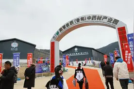 打造滇西北中药材产业新引擎——云南白药数智云药（鲁甸）中药材产业园启幕图片