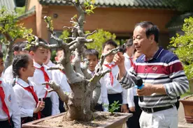 广州荔湾：岭南盆景艺术进校园 “它像一本‘立体历史书’”图片