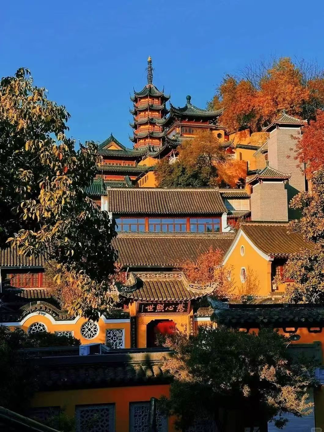 常宝和阿镇，场外的那些满分默契