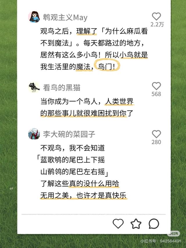找搭子也玩抽象，00后已经不需要和人做朋友了