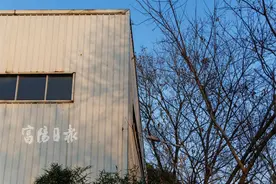 “每天都要往外挑被破坏的矿泉水、泡面…真是心塞”，松鼠泛滥，杭州男子头疼：没完没了，还抓不得……图片