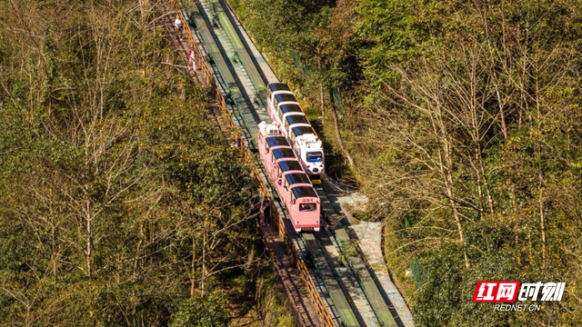 晴好秋光引客来，张家界十里画廊人气“一路飙升”