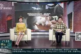 猫咪误入隧道内乱窜 交警援手及时解救视频封面