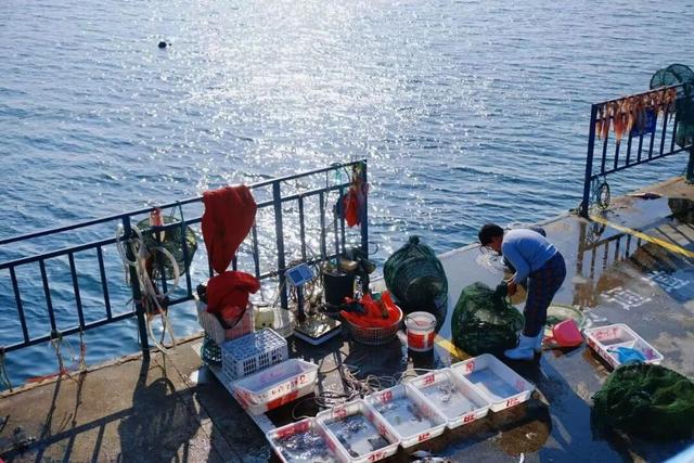 免费又出片！威海人私藏！钓鱼人、秋千、老渔船，治愈力满分～