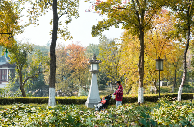 秋风引路入曲江，芙蓉金叶映红墙