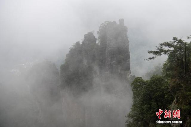 广西大瑶山盘王界景区云雾缭绕如水墨画