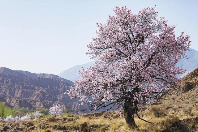 【青海之美我来拍】在山湖褶皱里，见天地辽阔