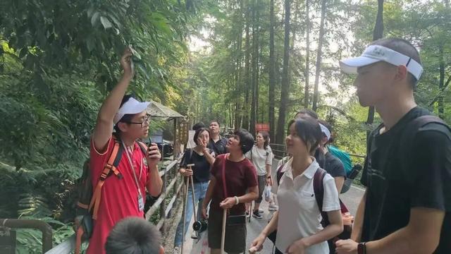 背、抱、捏腿……男性“陪爬”峨眉山被指“擦边”，多方回应