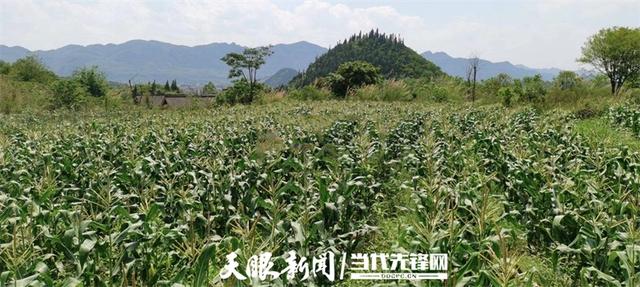 【多彩小水】绿水青山入画来，此间风景正好｜多彩之绿