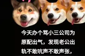 代骂、查人找人 、非法获取个人信息，4起网暴案例公布图片