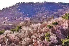 北京春天爬山的秘密基地，找到了！图片