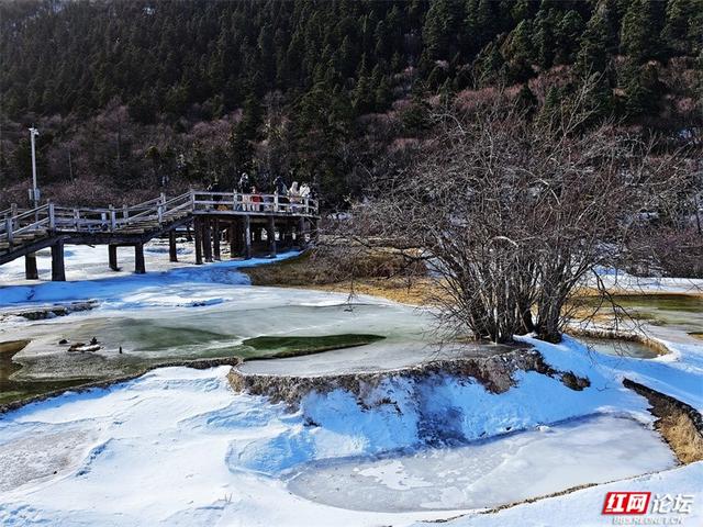 一半冰雪，一半碧波，冬日黄龙的色彩魔术