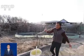 光阴的故事丨果农以“土味诗歌”破圈 她改变乡村生活变身“田间诗人”图片