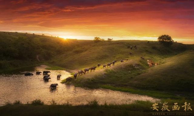 影像视觉 | 明光秋日长：嘉山秀水，自在明光