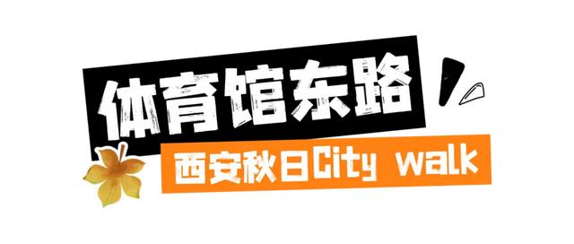 漫步碑林|西安秋天的第一次CityWalk，就来碑林~