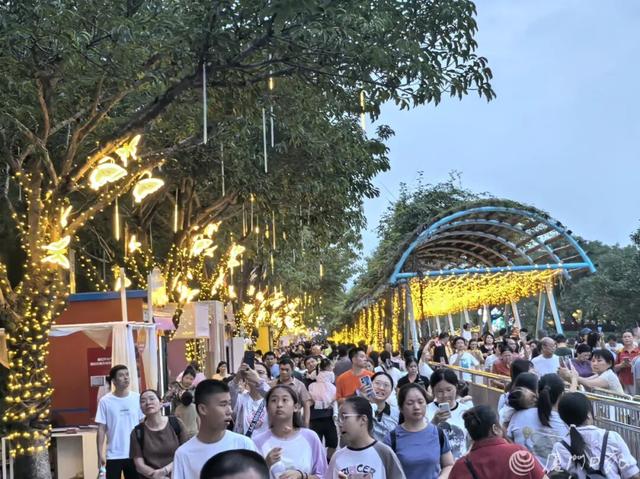 福建多地提醒：售罄！约满！都是人人人人人……