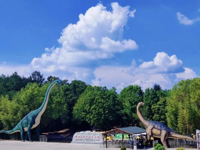 免票半价！河南多景区推出教师专属福利→