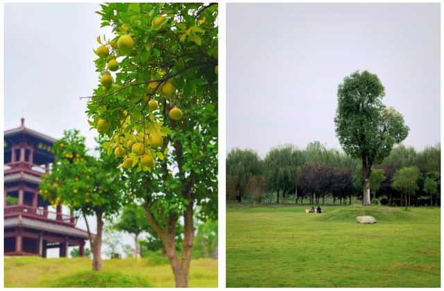 荆州赏秋地图｜不止中心城区！荆州县域秋景图鉴出炉，N个绝美点位等你来打卡！