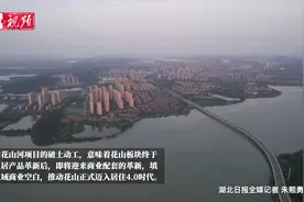 武汉花山生态新城，一座“绿色样板之城”！图片