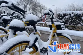 北京三预警齐发：部分高速路段临时封闭，有景区临时闭园图片