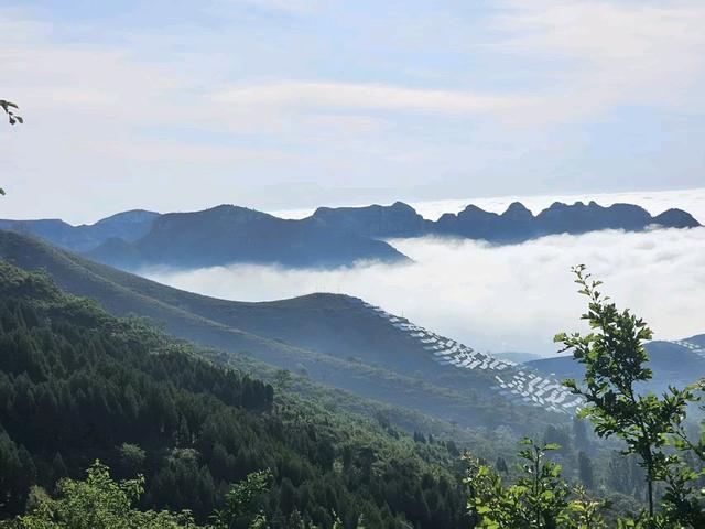 潍坊临朐：青山着意化为桥