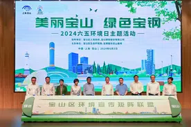 推动钢铁生产与城市生态高度融合，宝钢2025年建成“绿色无废城市钢厂”图片