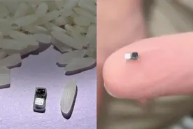 世界最小心脏起搏器问世：比米粒还小，关键的自供电方法由中国博士后提出图片