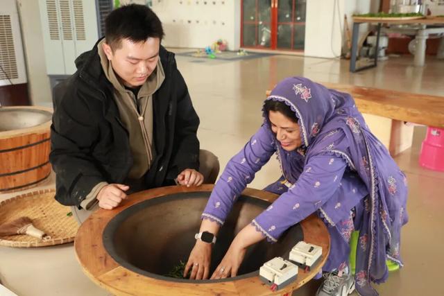 人民网多语种记者走进白沙 感受茶文化与黎族风情魅力