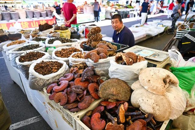 东北秋景天花板，错过再等一年