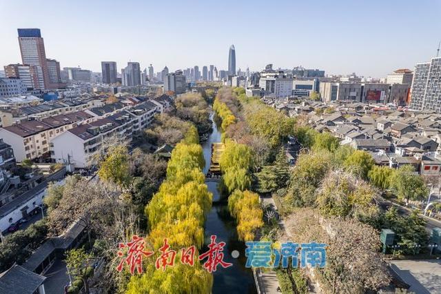 一年四季 泉在济南丨护城河畔诗意浓 晴光倾洒柳轻拂