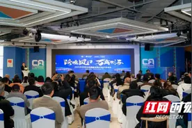 2025年首场中非跨境电商交流沙龙在长沙举行图片