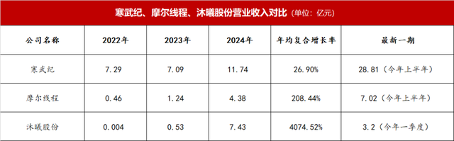 谁够资格扛起“中国英伟达”大旗