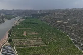 神木市：深耕黄河流域生态治理 绘就绿色发展新画卷​图片