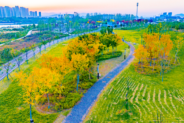 金灿灿！宜都限定美景上线！