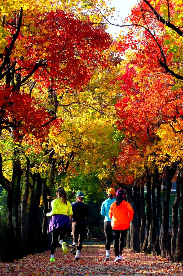 宿来拍丨五彩斑斓