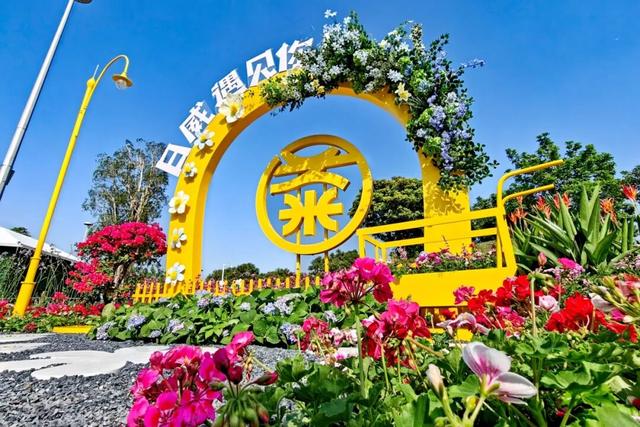 专属中山的限定浪漫花海来了！购票全攻略→