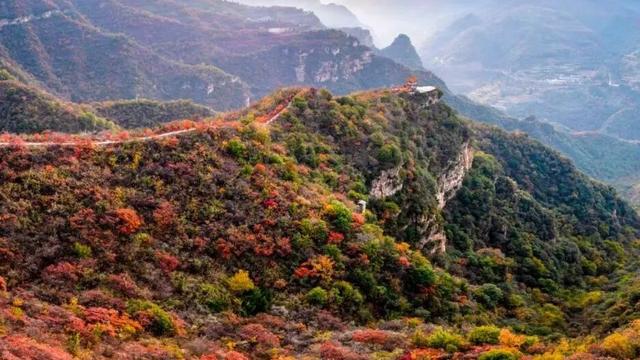 荆紫仙山红叶预告，第一波惊艳正在上线！