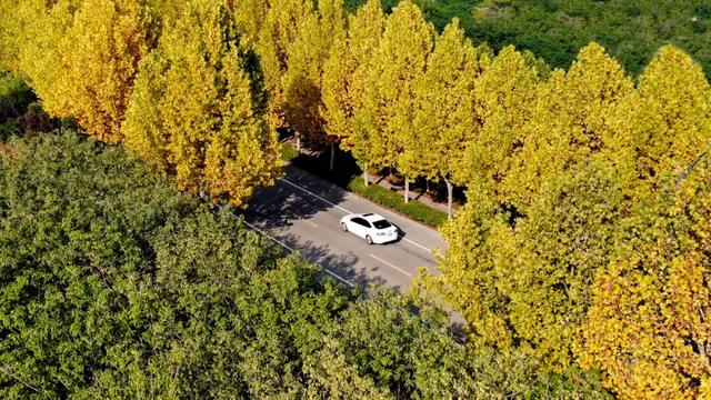 又是一年秋好处