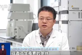 馒头放冷冻，会长剧毒的黄曲霉素？无数网友不淡定了图片