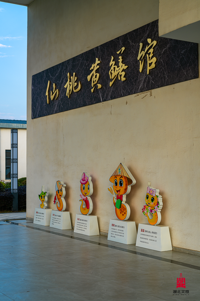 北北亲测！仙桃够味！福利加倍！