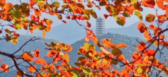 颜值巅峰！北京秋日“调色盘”尽在这些水岸——