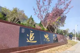 00后小伙做“代祭扫”：帮忙献花、读信，替逝者亲属传递哀思图片