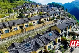深耕“三农”沃野，绘就湖南乡村新画卷图片