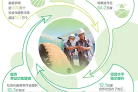 一粒小麦的“产业链之旅”（“三夏”一线探新迹）图片