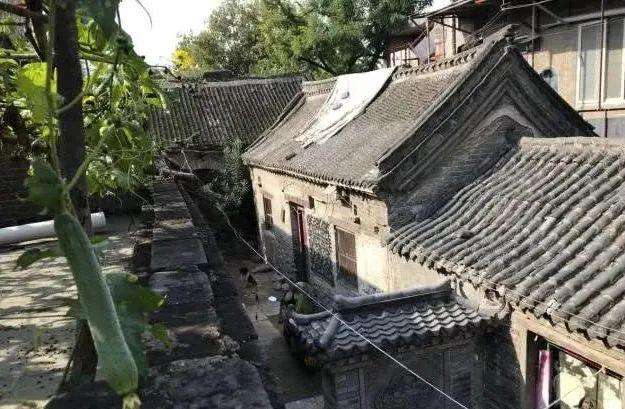 这条街，郑州最有“书香气”！